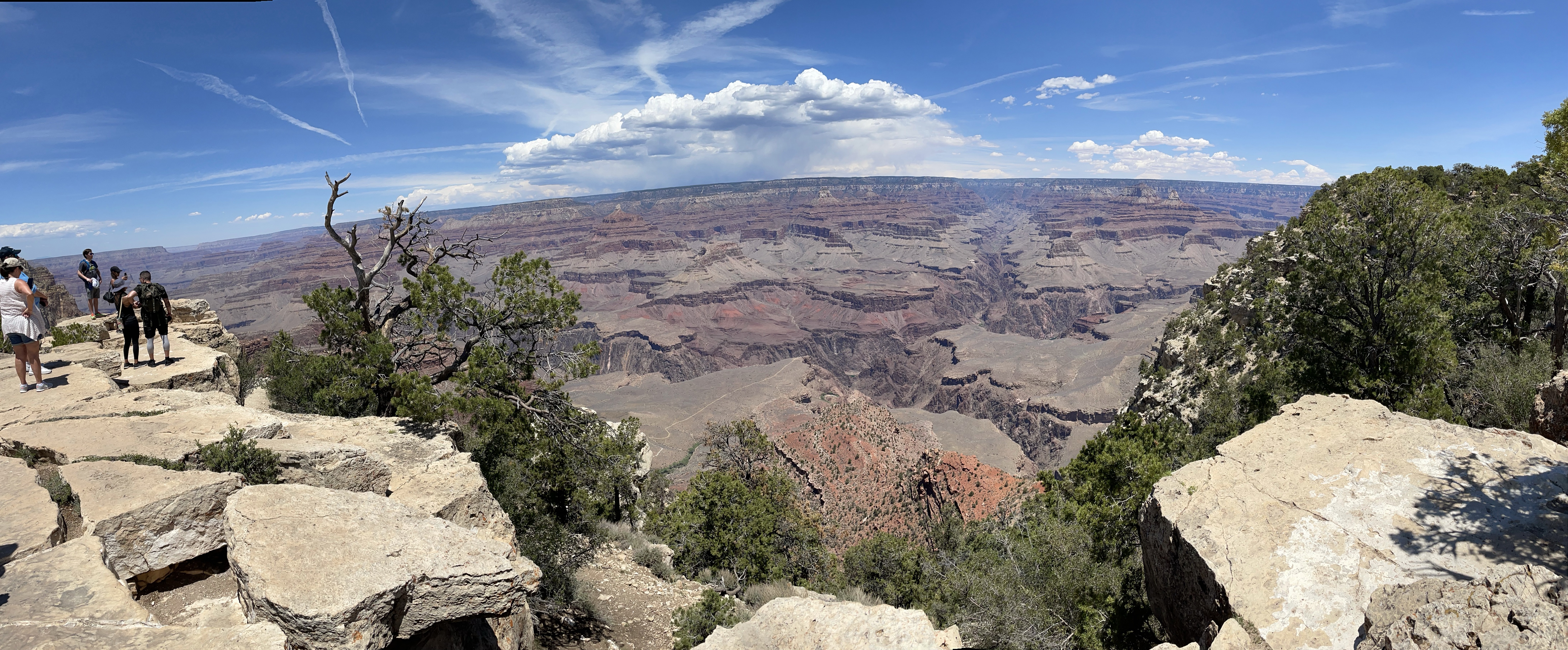 Grand View