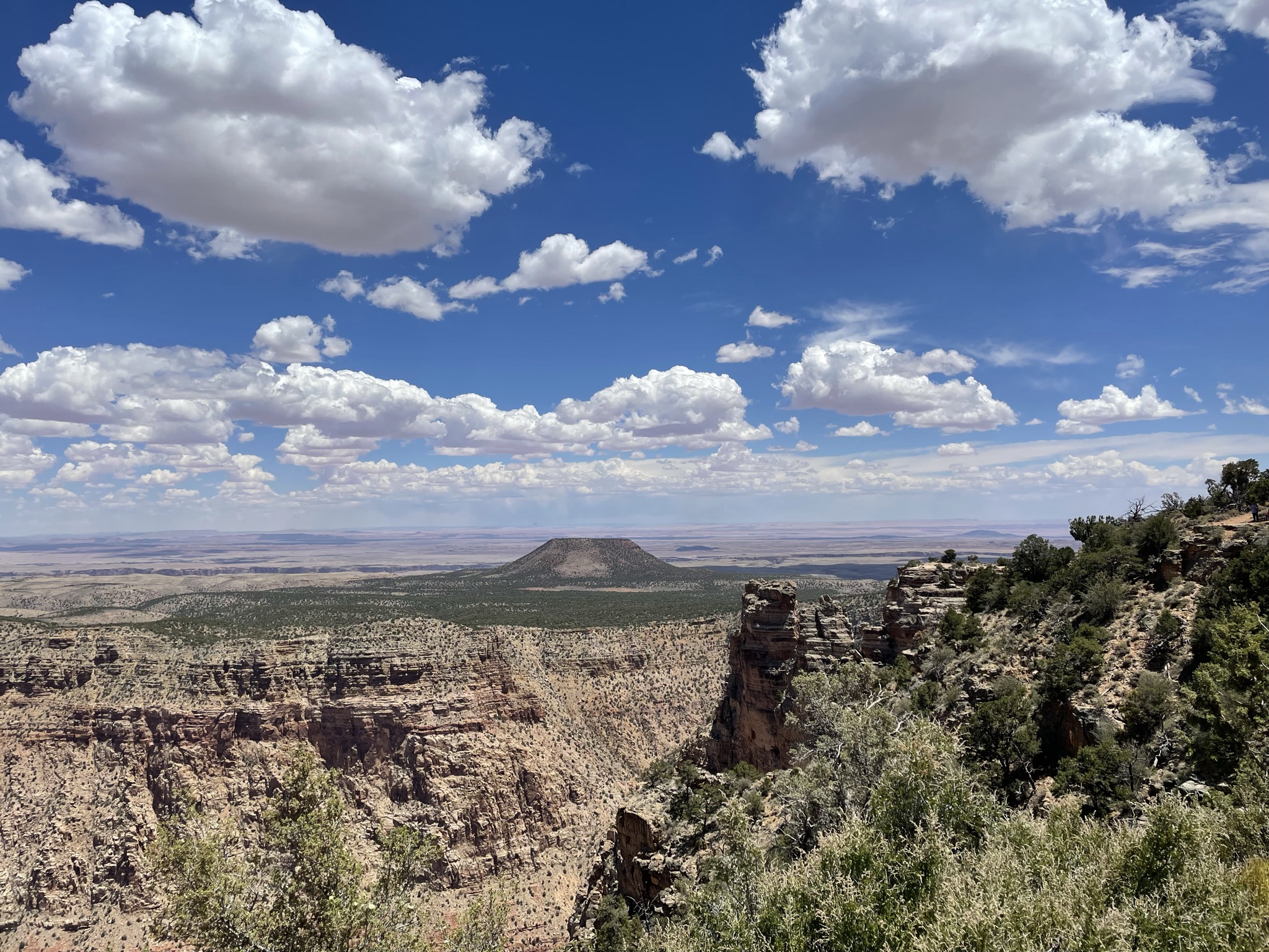 Desert View