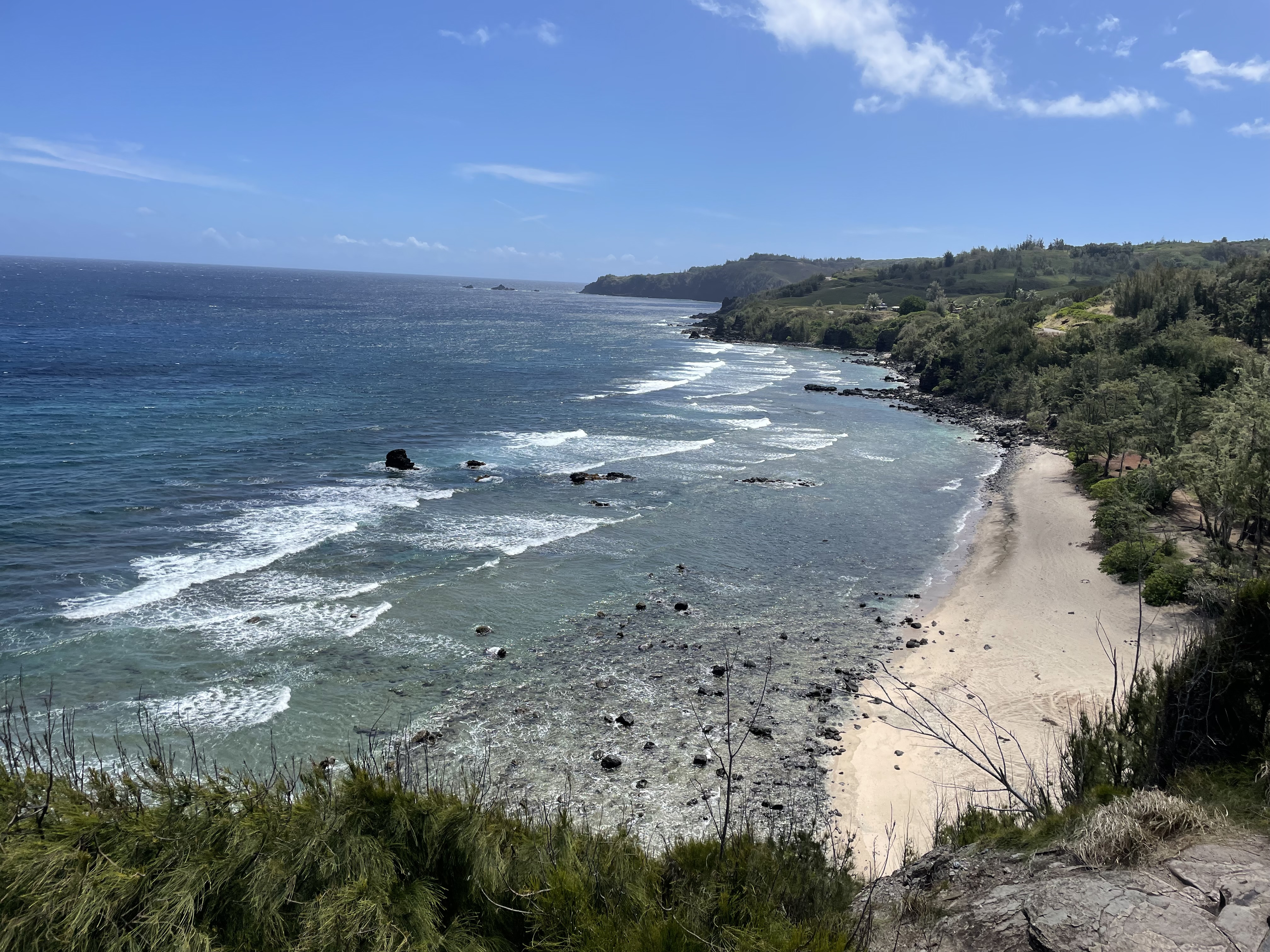 Amazing Vista