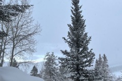 IMG_3400