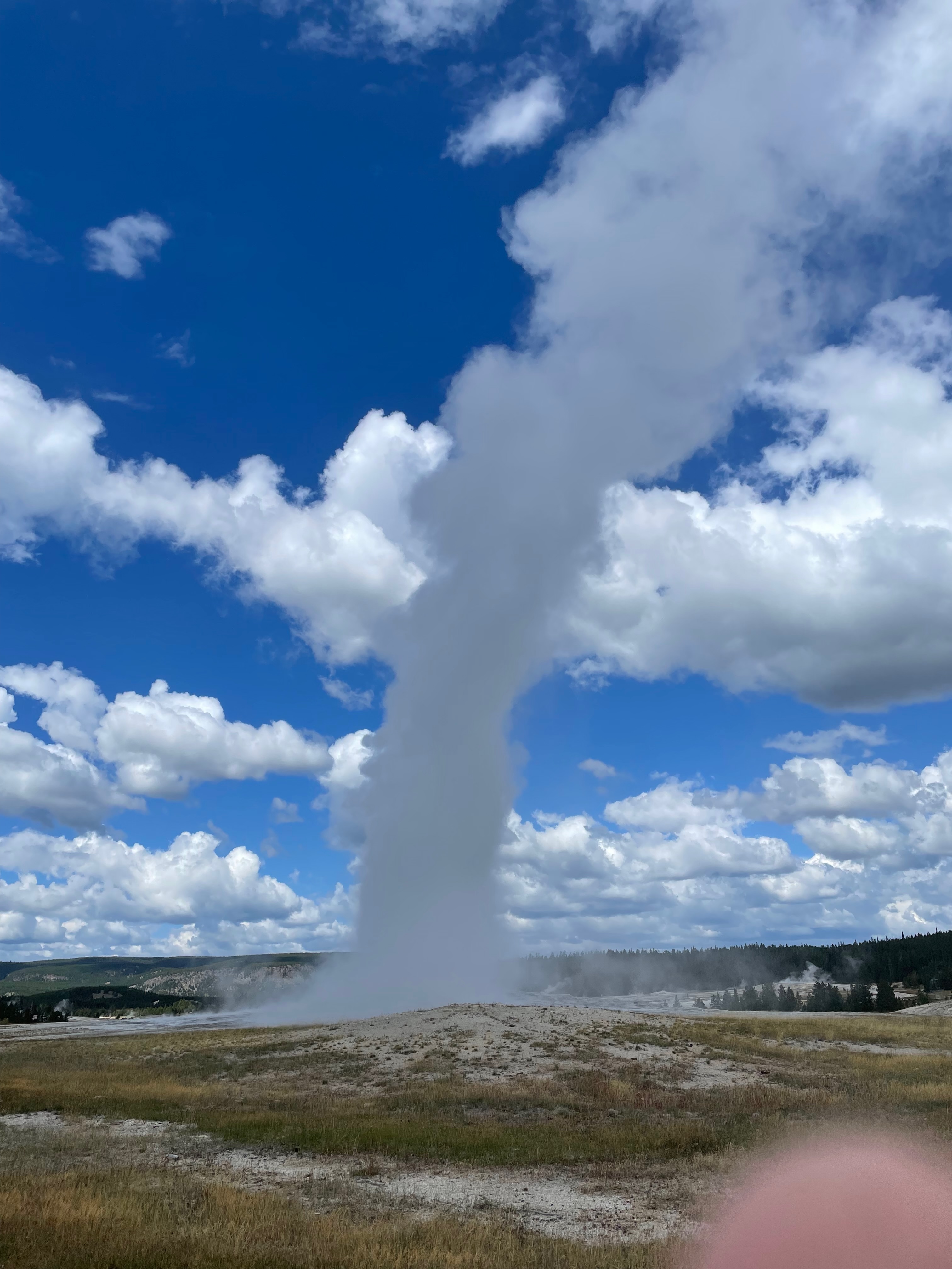 Old Faithful