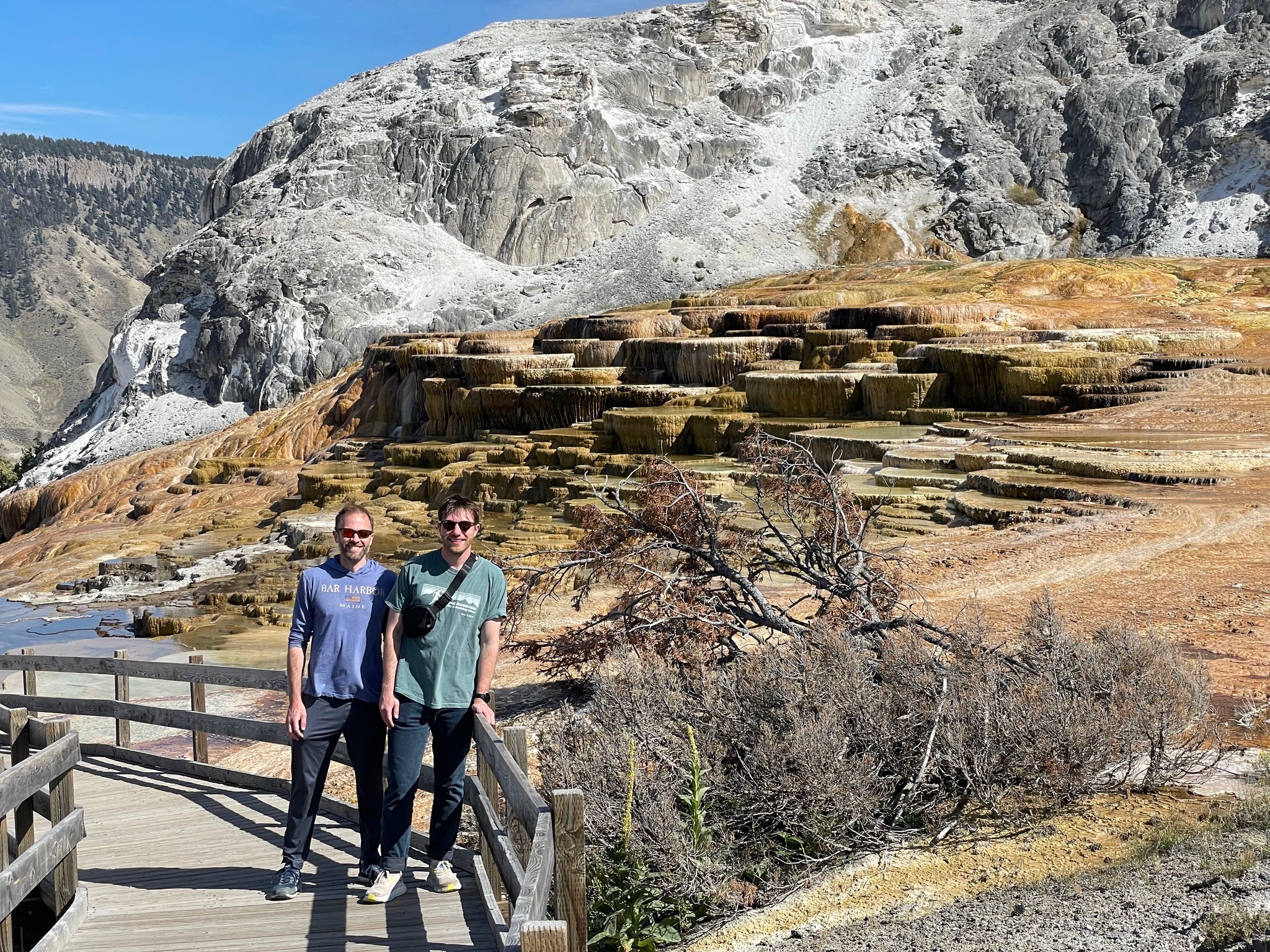 Mammoth Hot Spring