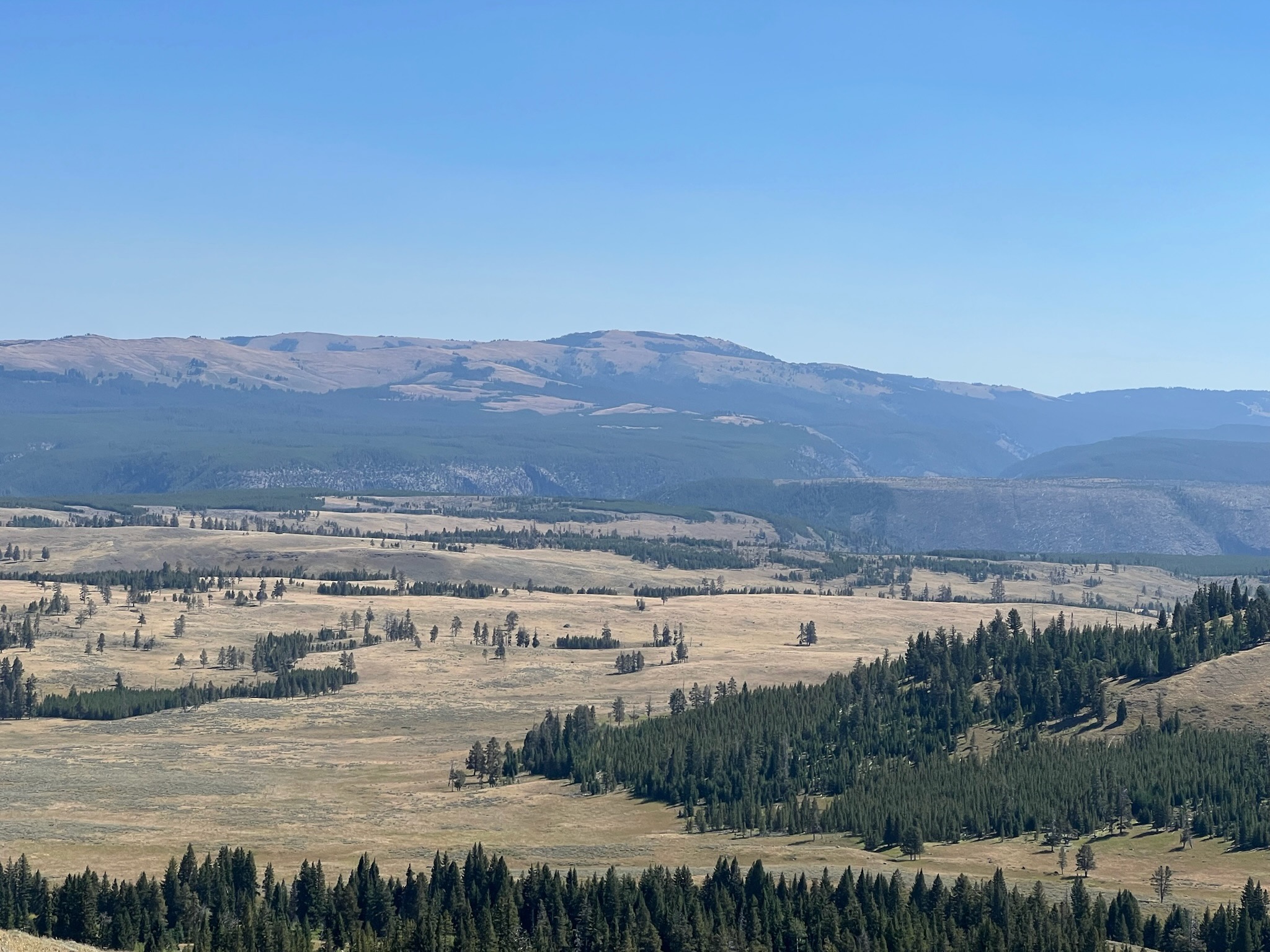 Lamar Valley