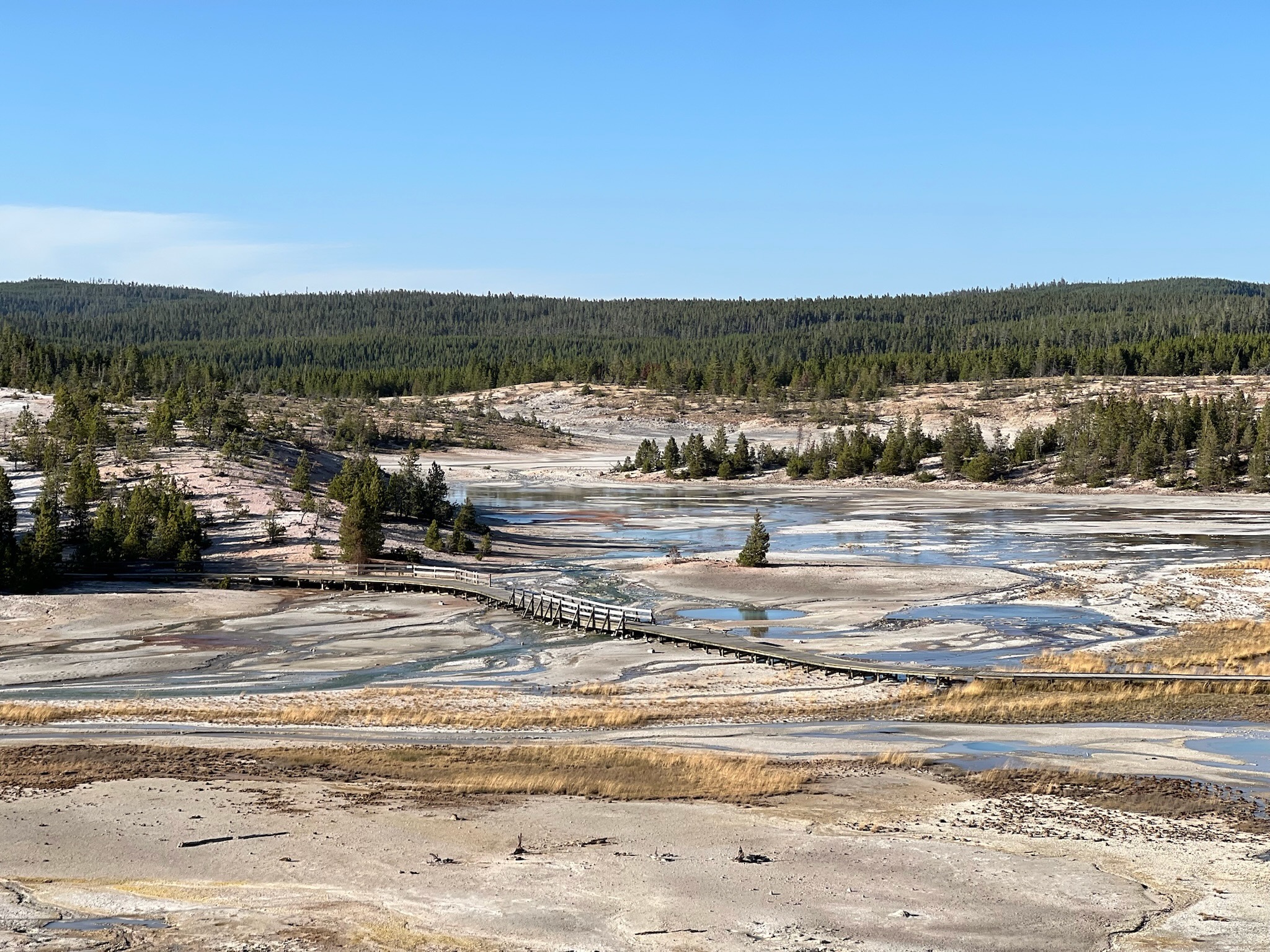 Norris Geyser