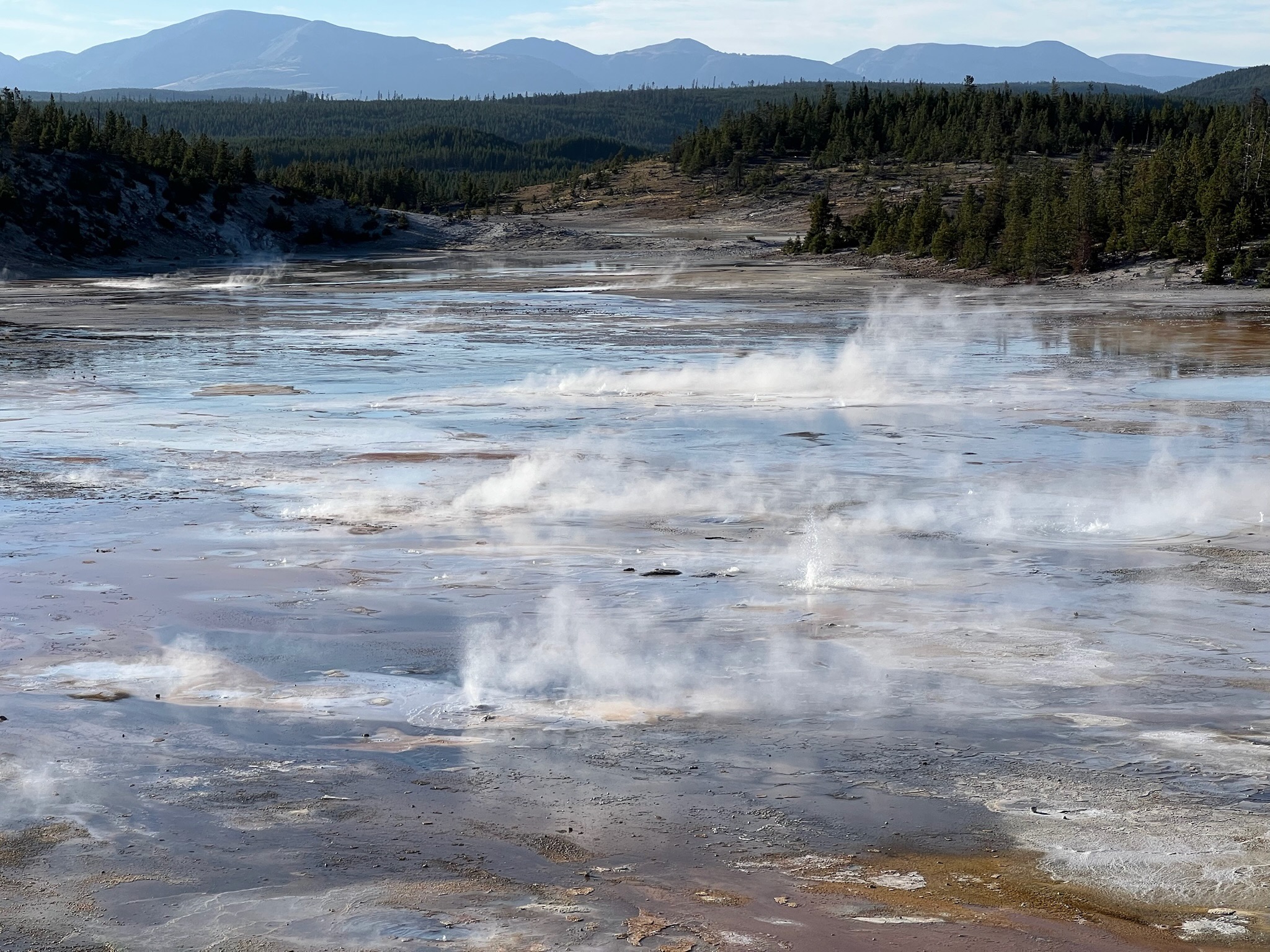 Norris Geyser