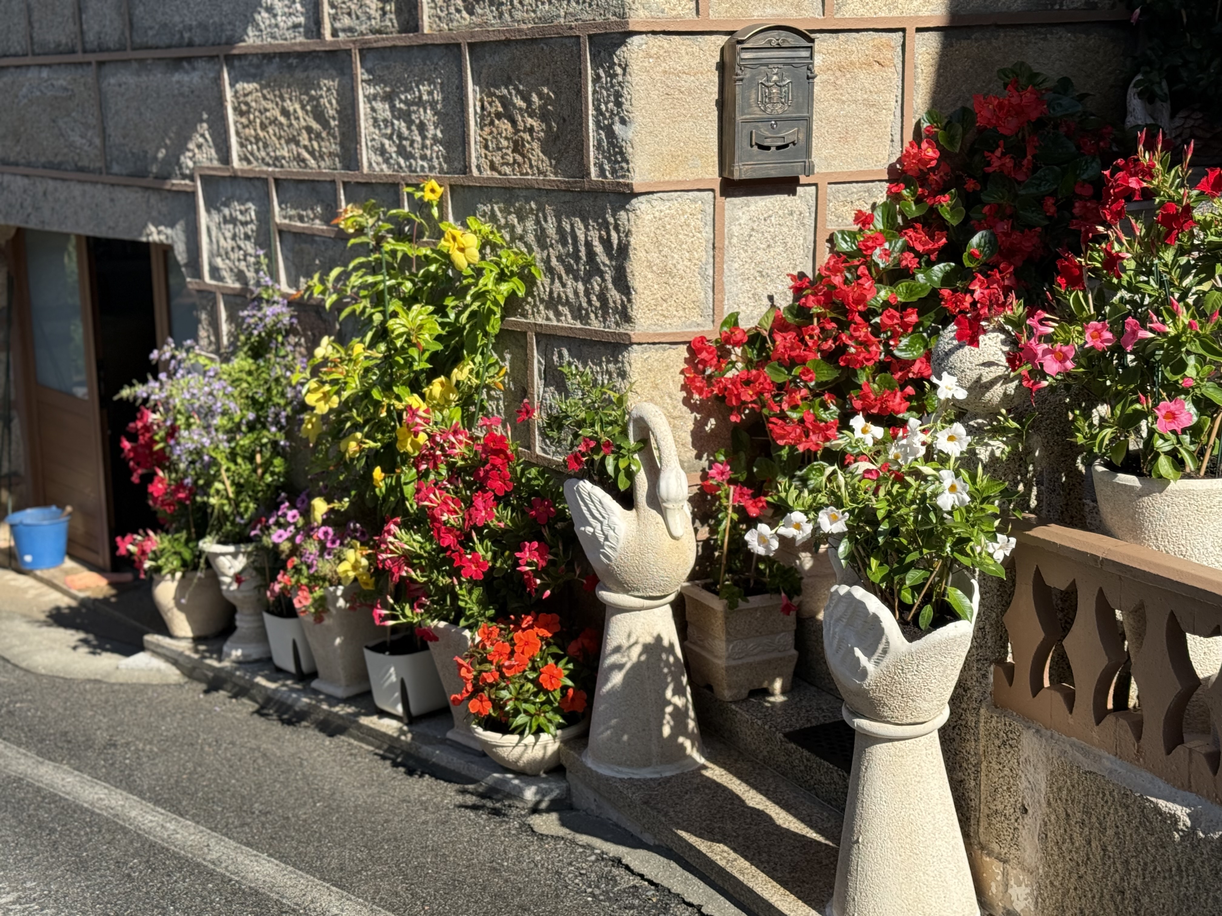 Day 4 - Flowers