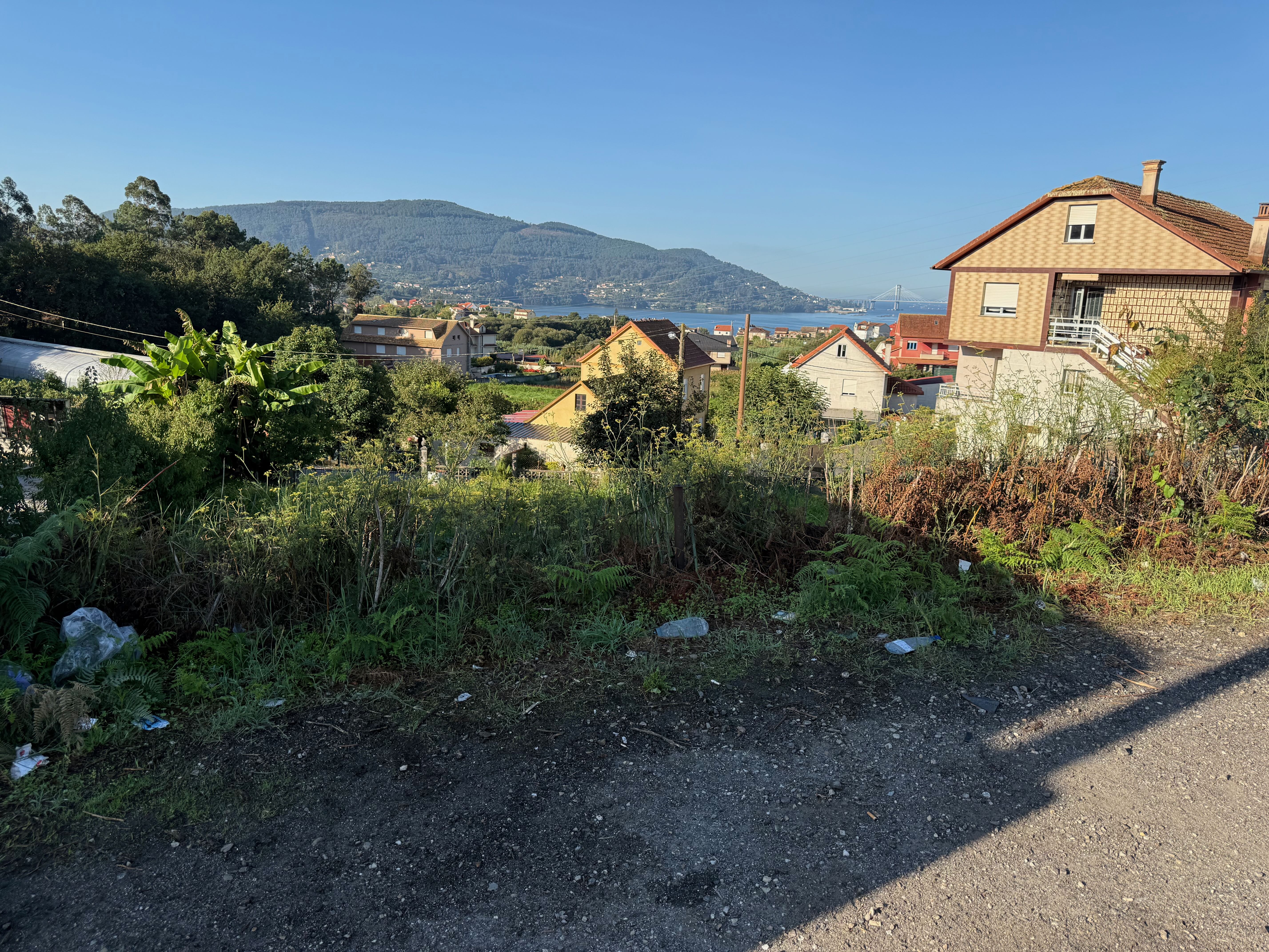 Day 4 - View