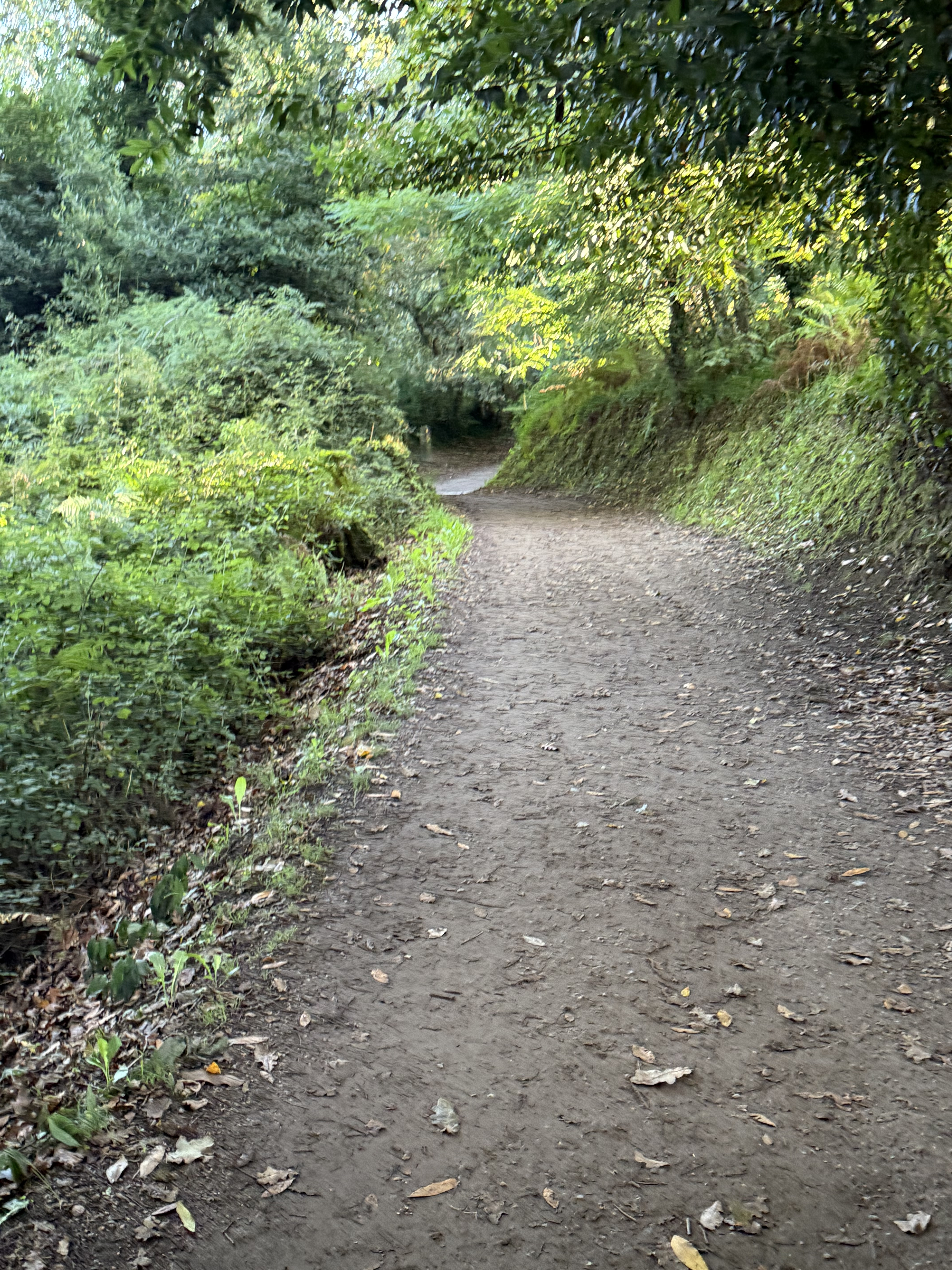 Day 4 - Path