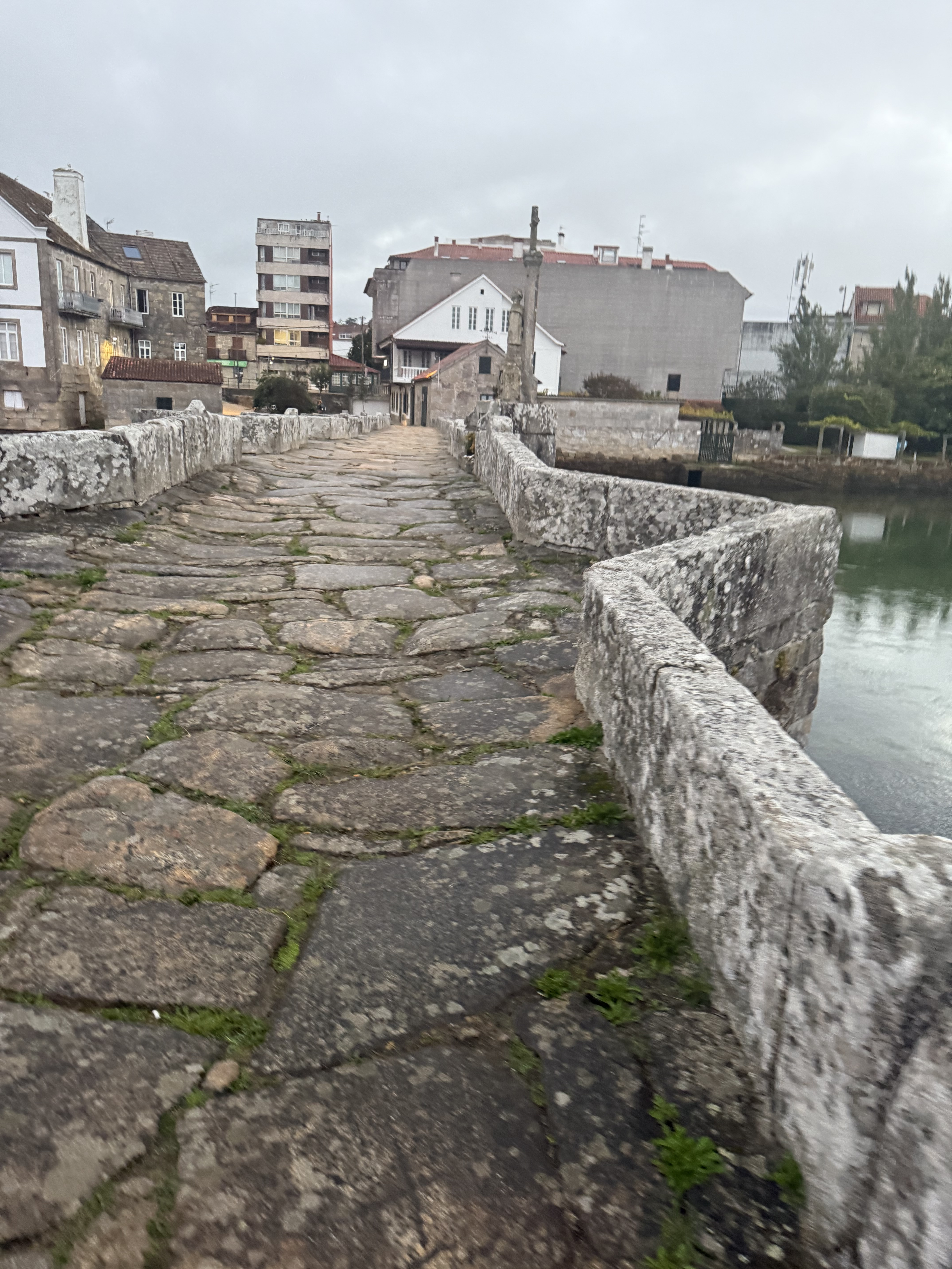 Day 2 - Unique bridge