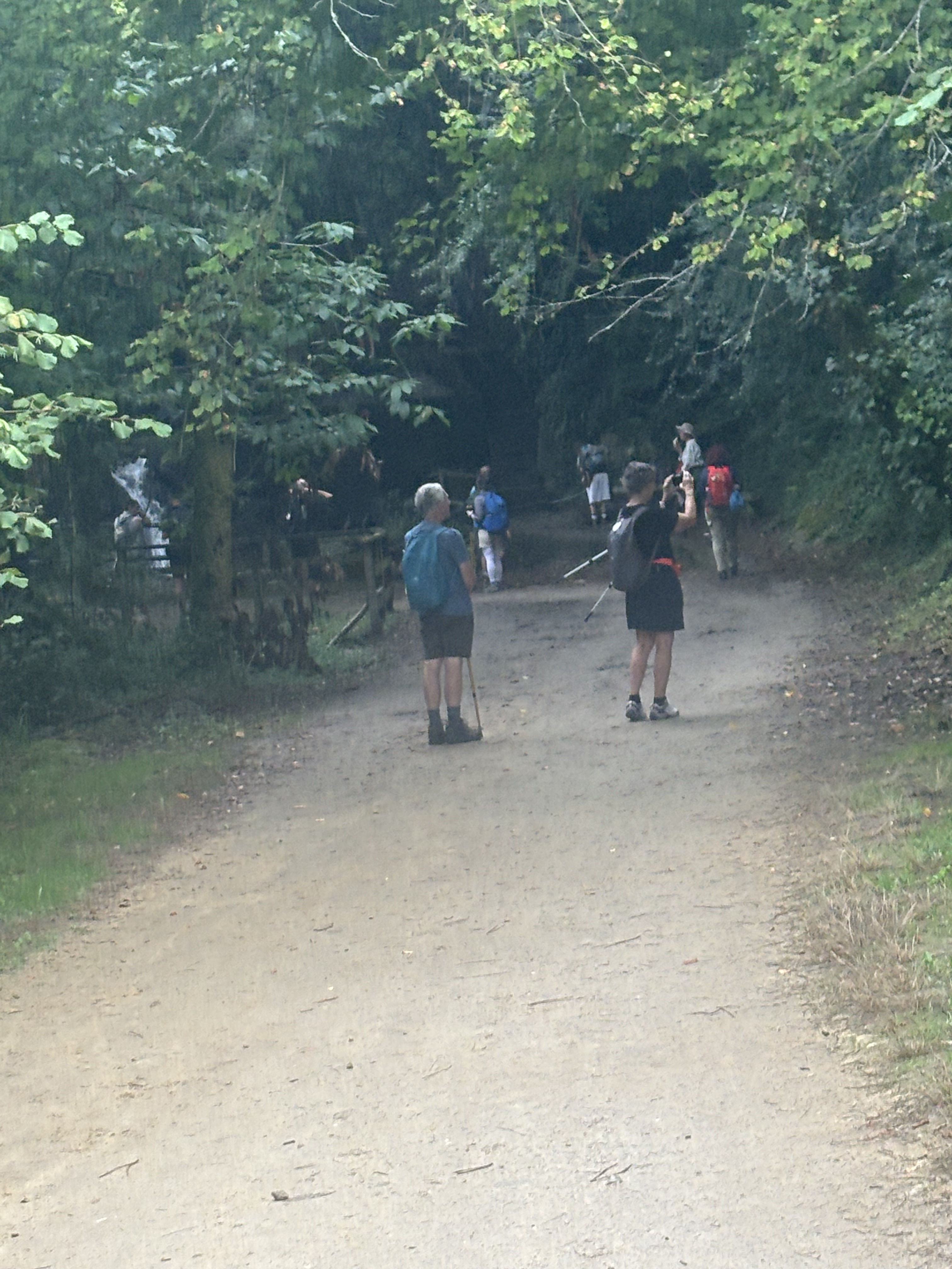 Day 3 - Hiking