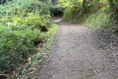 Day 4 - Path