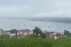 Day 3 - Bay