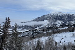 Silverthorn the day we left