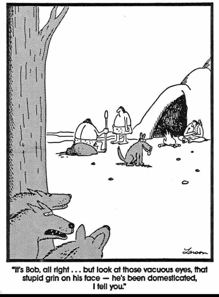 Joke-2