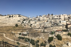 IMG_6064