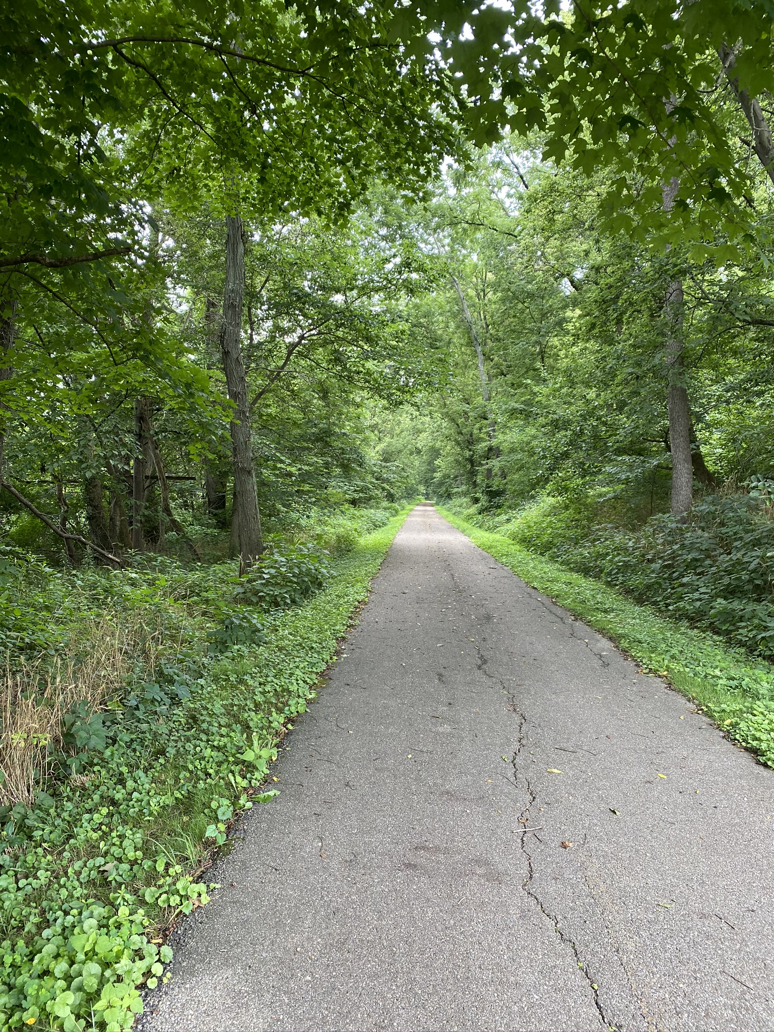 Beautiful Trail