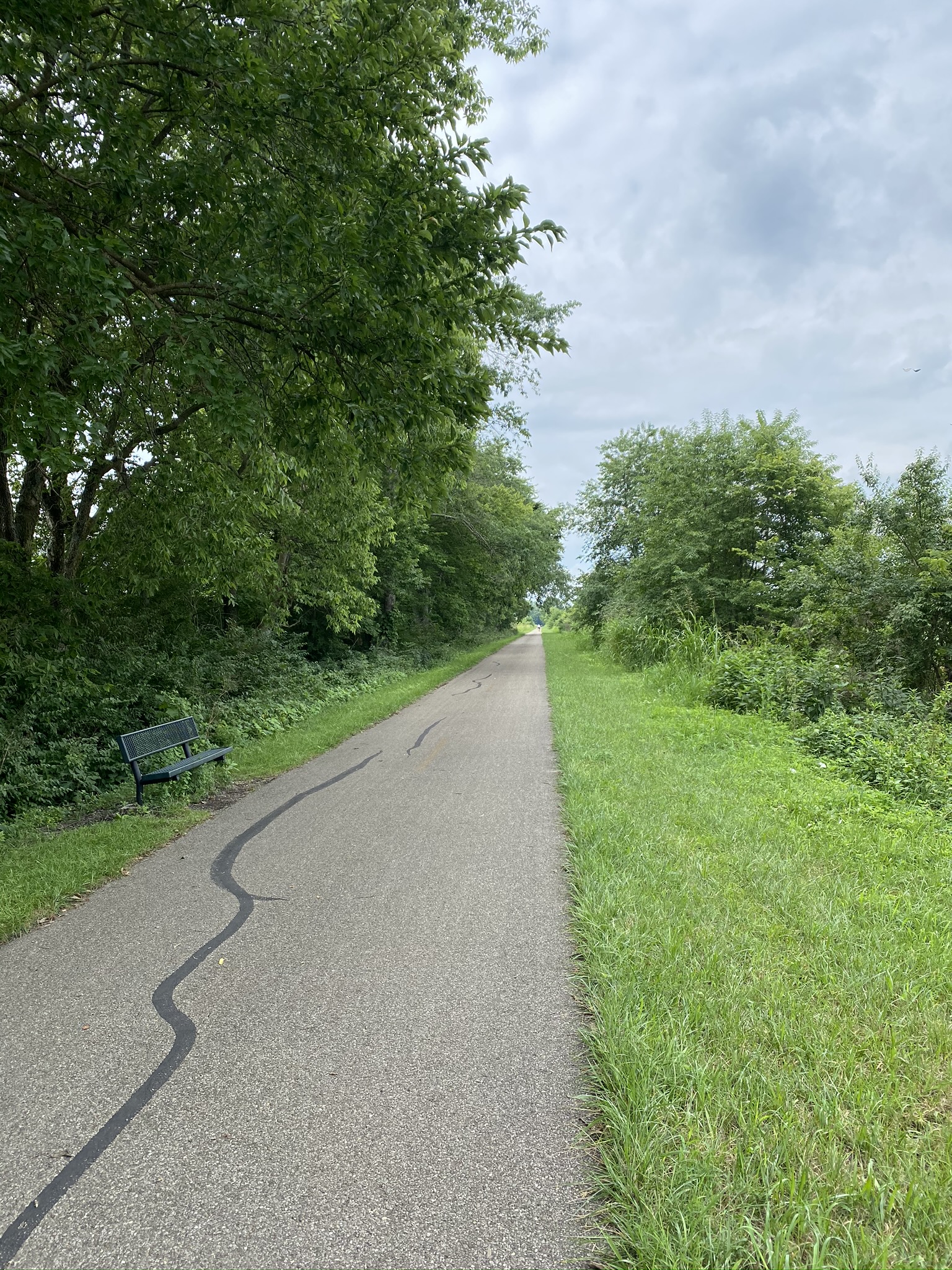 Trail