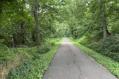 Beautiful Trail