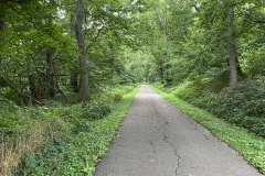 Beautiful Trail